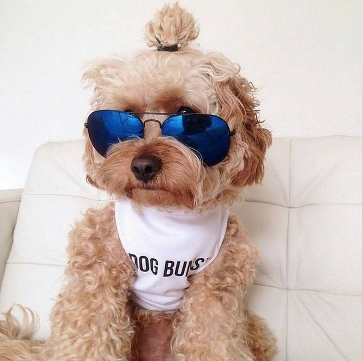 Mr. Cool. Mr. Cool.